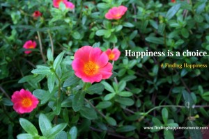 finding happiness movie, happiness quotes, ways to be happy, how to be happy, be happy, happiness tips, find happiness